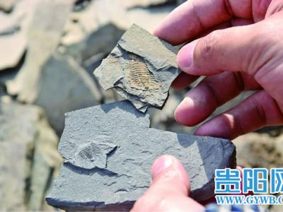 霍金提出使用两座巨大射电望远镜扫描银河系 