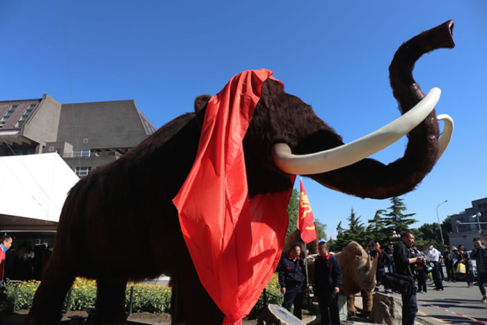 ��������������ģ��