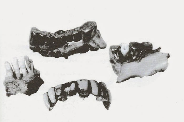 死去活来:科学家要复制王子、蓝侬、希特勒