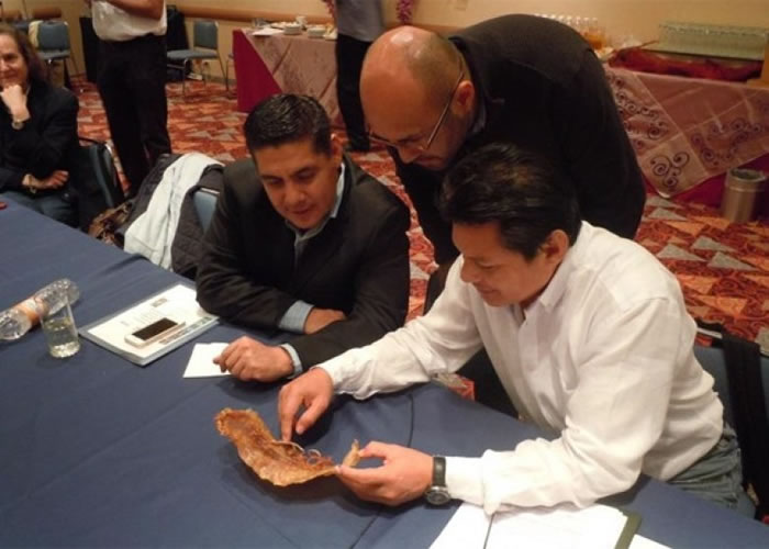 墨西哥当局曾检获加尼福尼亚湾石首鱼鱼鳔。