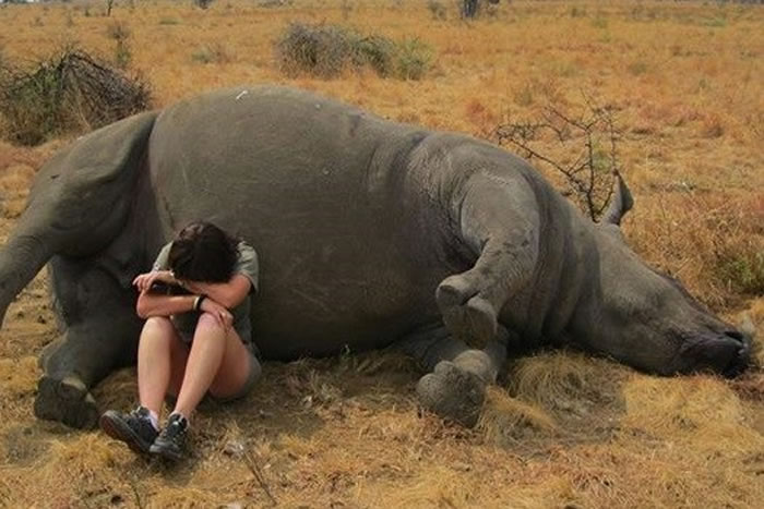 Ϭţ��������ɱ��������Lynne�̲�ס��ͷ������