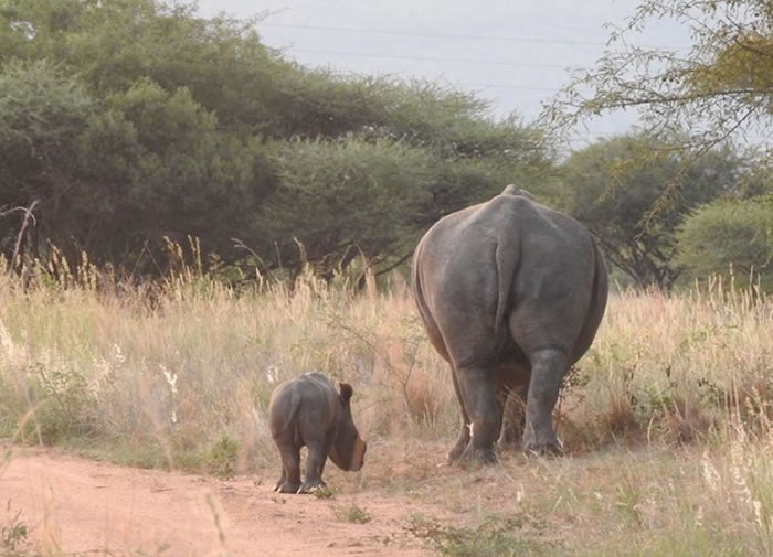 Lynne�����ѿ�����ƬҲ�ܲ��ᣬ��˵�Ŷ�ÿ�춼��˽�������չ�Ϭţ��