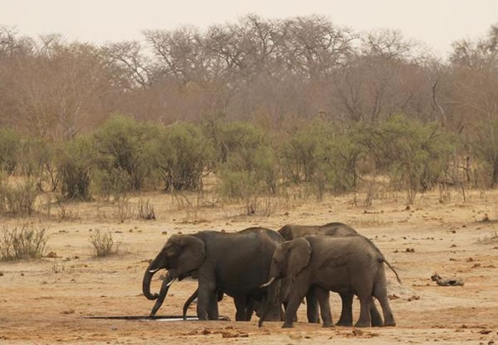 ��Ͳ�Τ��������ȫ���Ըɺ� �����������Ұ���������