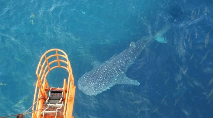 ����������ǰ����������޵�����Χ������ƽ̨��ת��