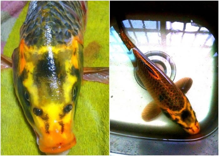 СѧʦСǰһϡеġ㡱