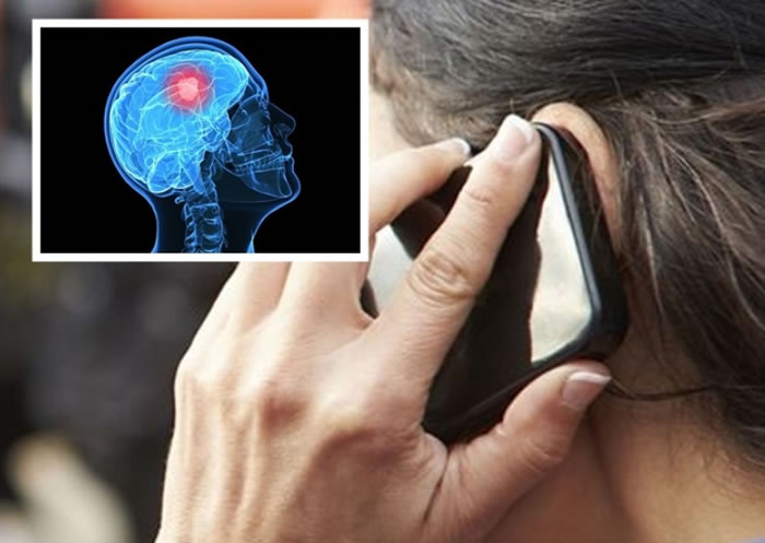 Ϥѧоָʹֻûӻ԰ķա