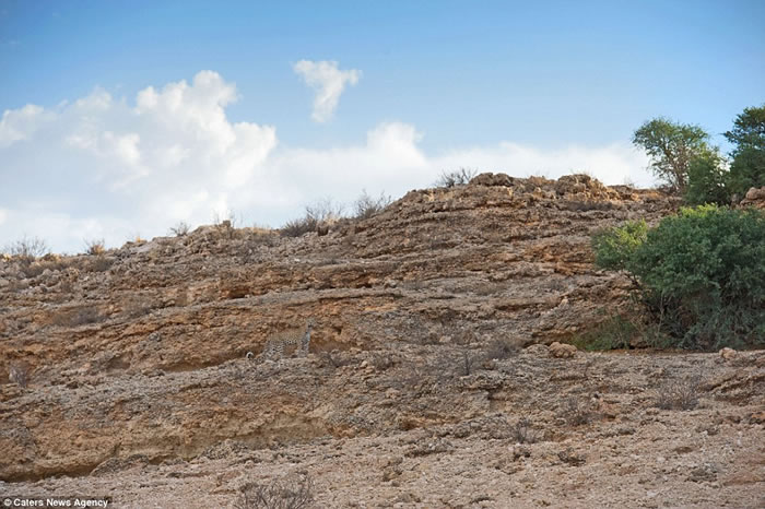 ��ӰʦMorkel Erasmus��7��ʱ��ץ�ĵ����ࡰ���λ�������Ӱ