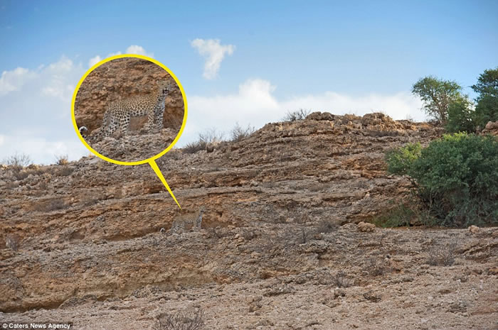 ��ӰʦMorkel Erasmus��7��ʱ��ץ�ĵ����ࡰ���λ�������Ӱ