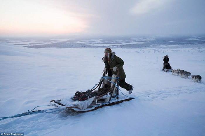 ����Ů��Tinja Myllykangas��������Ұ������������ 85ֻ��ʿ������Ա���Ϊ��