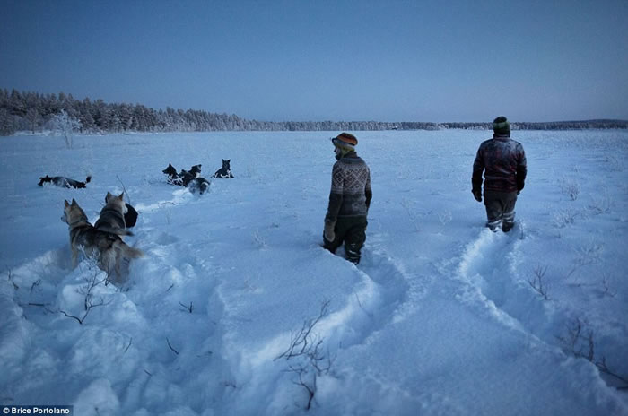 ����Ů��Tinja Myllykangas��������Ұ������������ 85ֻ��ʿ������Ա���Ϊ��