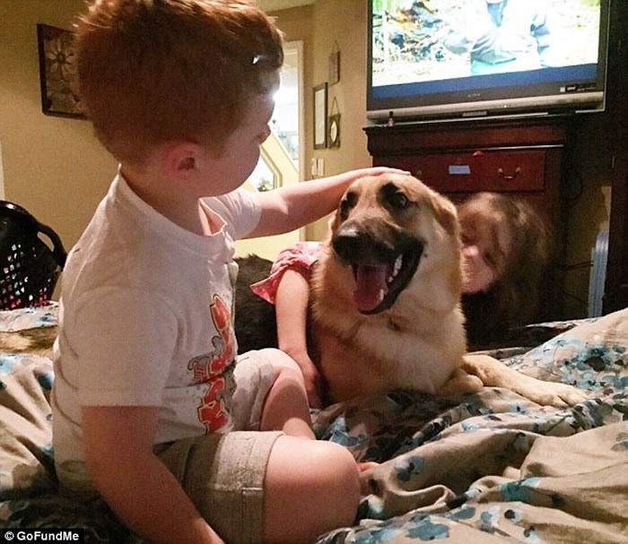 һֻ¹ȮΪС˲ϧβ߲