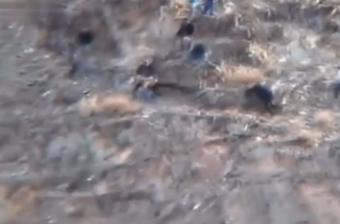 ��ӥ���ٸ���ץסһ����ɽ�ͺ������ߣ�