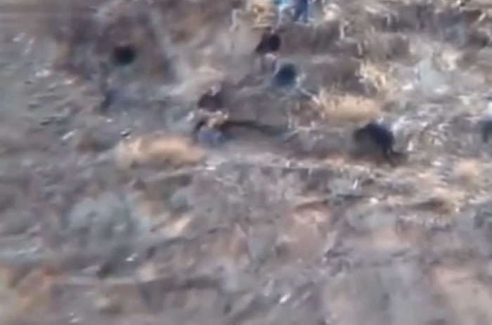 ��ӥ���ٸ���ץסһ����ɽ�ͺ������ߣ�