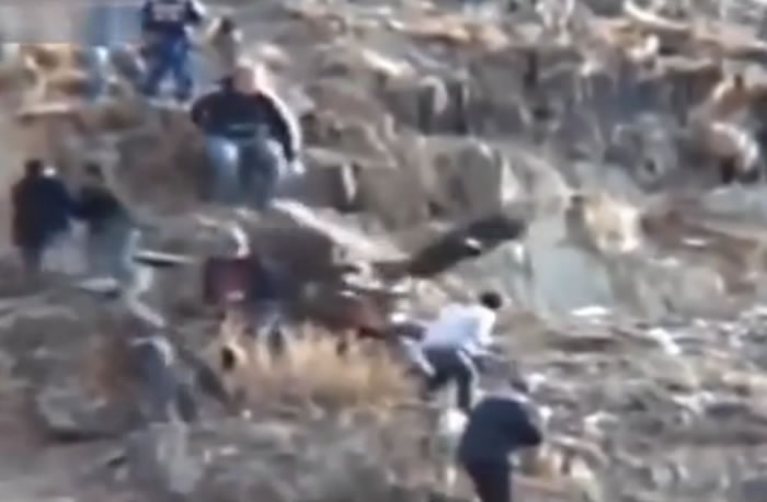 ��ӥ���ٸ���ץסһ����ɽ�ͺ������ߣ�