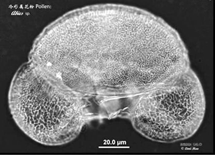 ��ɼ������