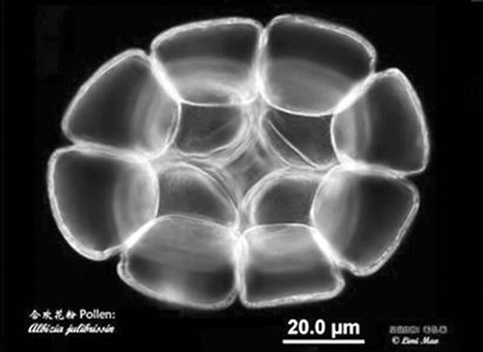 �ϻ�����