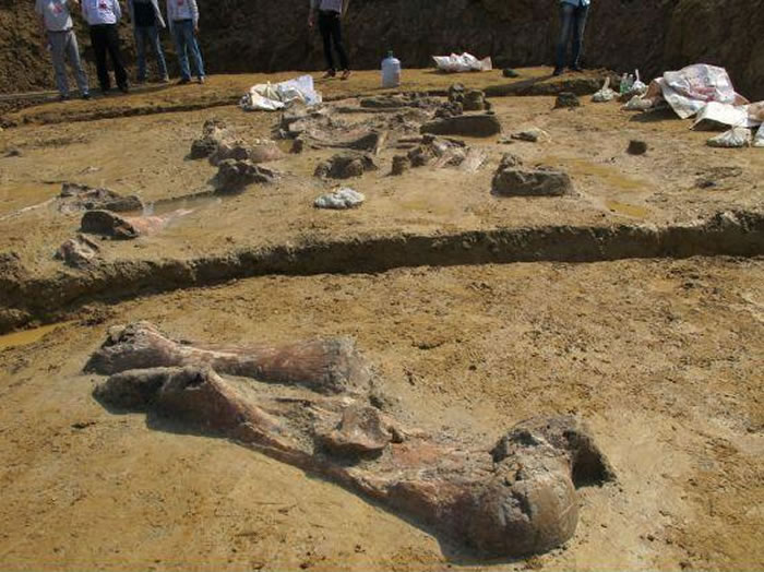 ����ʡ������ʯ���緢��5����ǰ���ӹ������ʯ