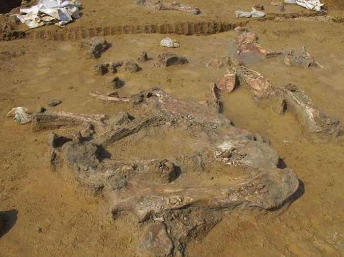 ����ʡ������ʯ���緢��5����ǰ���ӹ������ʯ