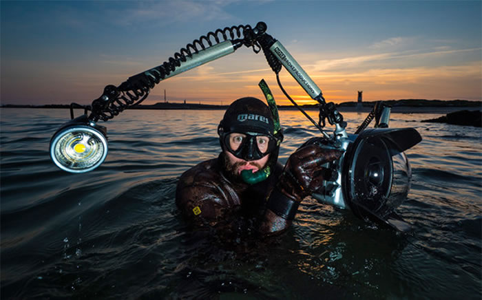 黑尔戈兰岛母海豹夕阳下与摄影师挥手道别