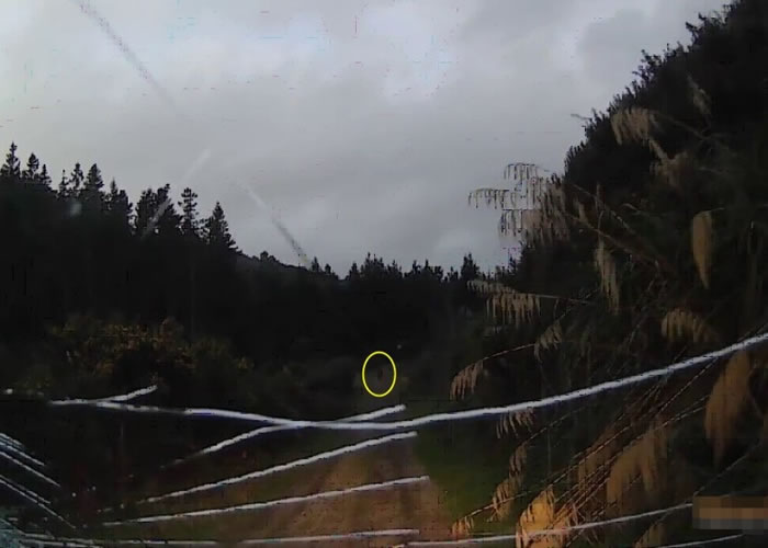 驾车者倒车时,蒙头男子(黄圈)仍欲追上来。