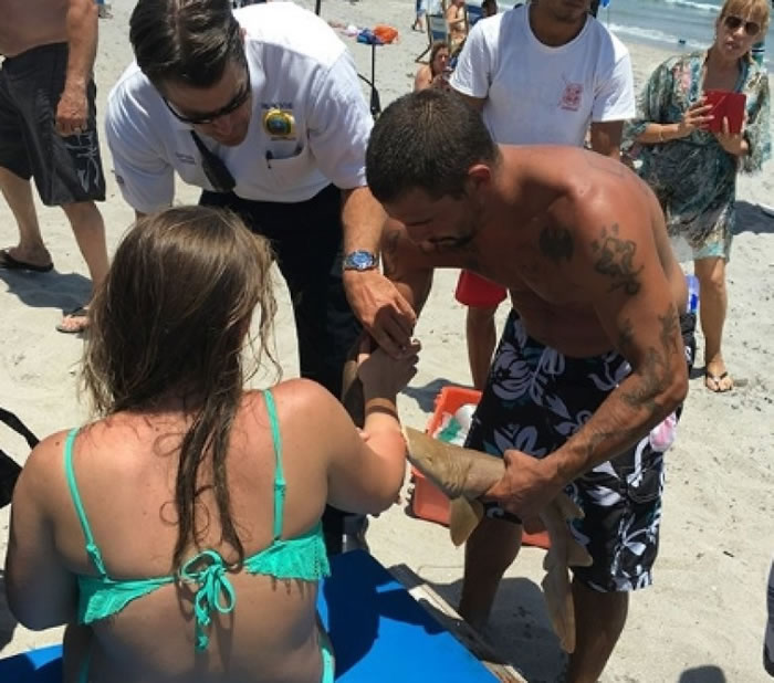 美国佛州女泳客被小铰口鲨咬住手臂不放 要连带鲨鱼一起送医院治疗