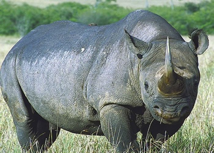 ���Ŵ���Ϭţ����Ի����Ϣ�ر��ƻ��������������