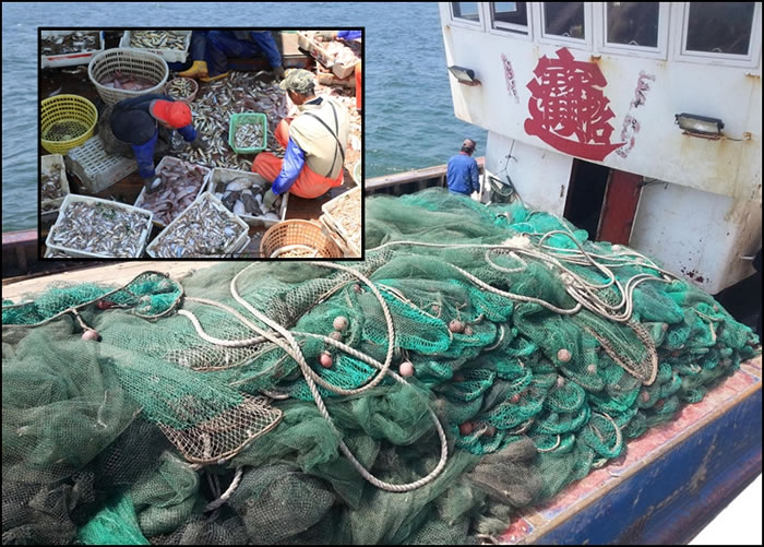 �й�����ִ����Ա�ڻƺ����������洬ʹ�á����ʽ���������㡣