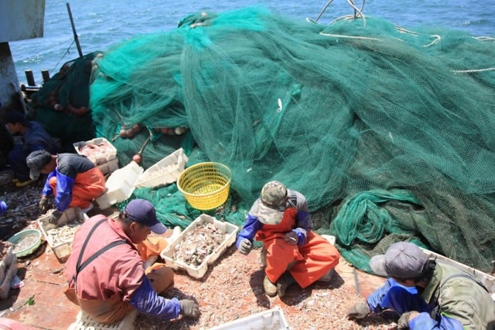 �����ʽ�����������Ժ�����Դ��ɺܴ��ƻ���