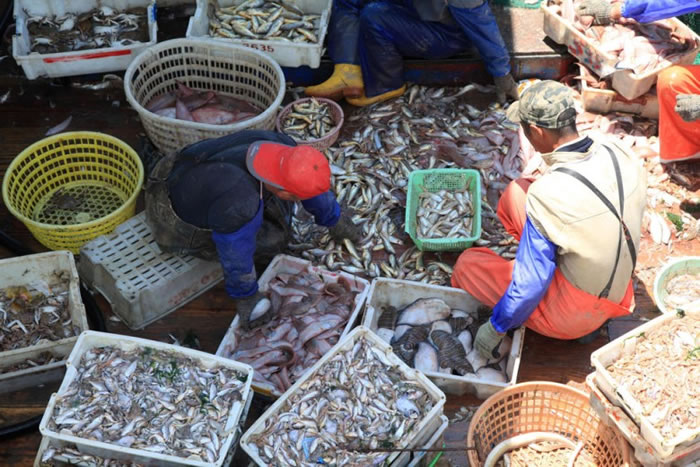 ���ڡ����ʽ���������ۼ�С�����۴���С�㶼�ᱻ����