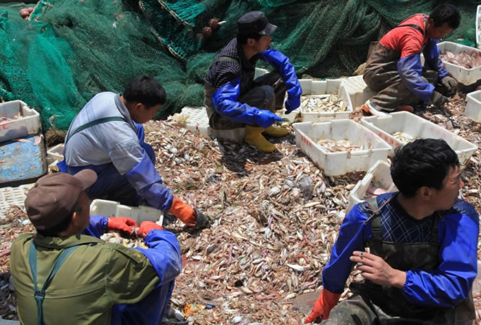 �洬����Ĵ󲿷ֶ������㡢СϺ��