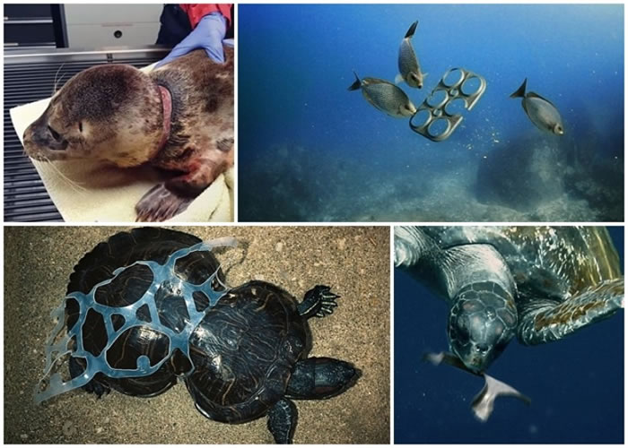 �����׻��ɱ�����������£����������⽺�����������ˡ�