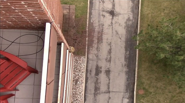 浣熊无视10层楼的吓人高度,沿墙边向下爬