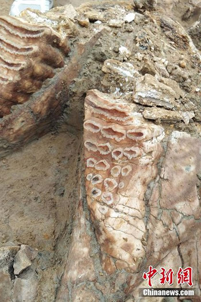 ����ʡ�����ط��־����������Ļ��ӹ�����������ʯ