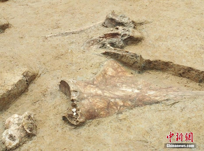 ����ʡ�����ط��־����������Ļ��ӹ�����������ʯ