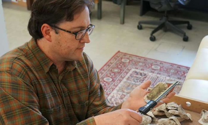 ʷǰԭס泡Ϊɳĵòṩһͼ