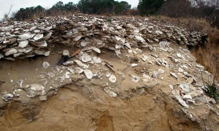 ʷǰԭס泡Ϊɳĵòṩһͼ