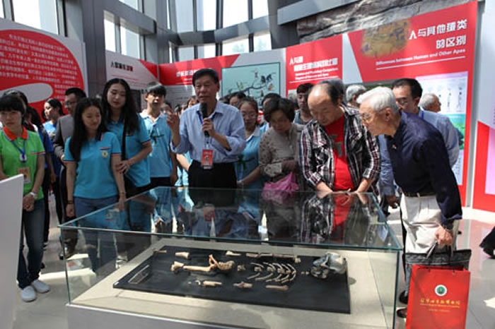 参观“人类祖母-露西”化石(复制品)