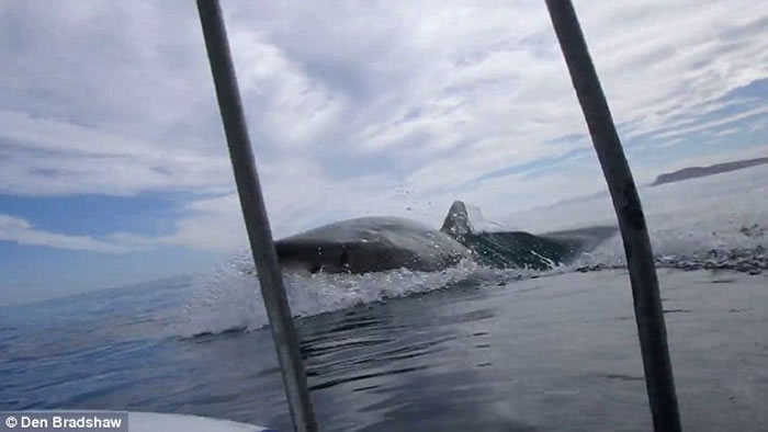 ������ڷ�����ǰ�����ݡ� ���Ϸ�Ǳˮ�;�ϲ