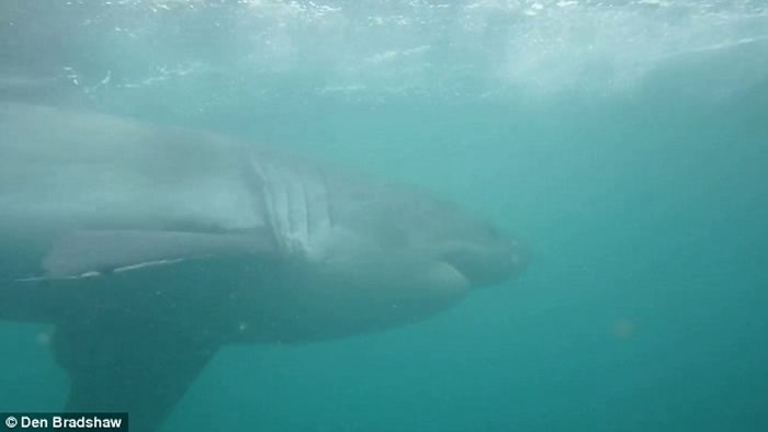 ������ڷ�����ǰ�����ݡ� ���Ϸ�Ǳˮ�;�ϲ