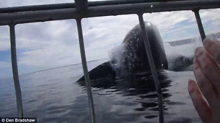 ������ڷ�����ǰ�����ݡ� ���Ϸ�Ǳˮ�;�ϲ