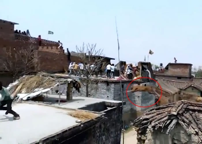 ӡ�ȱ���Ű��ׯɱ������ ����ס��������