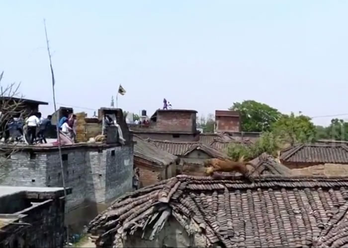 ӡ�ȱ���Ű��ׯɱ������ ����ס��������