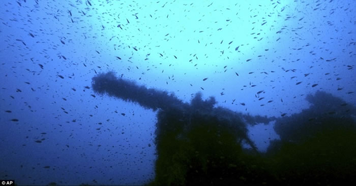 二战期间神秘失踪的英国潜艇HMS P311在意大利萨丁尼亚岛现踪