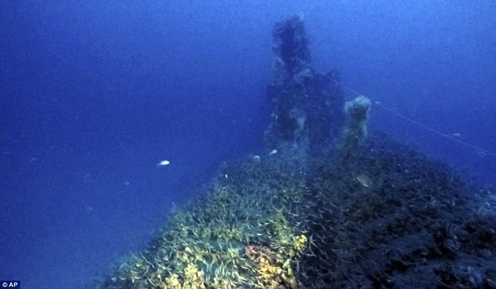 二战期间神秘失踪的英国潜艇HMS P311在意大利萨丁尼亚岛现踪