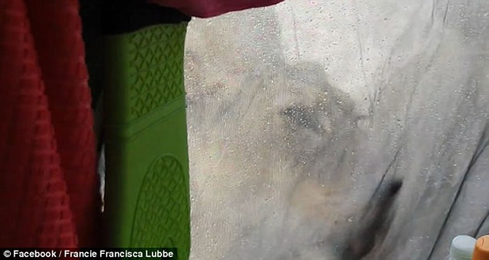 ȥ¶Ӫһ 3ֻĸʨӿ¶