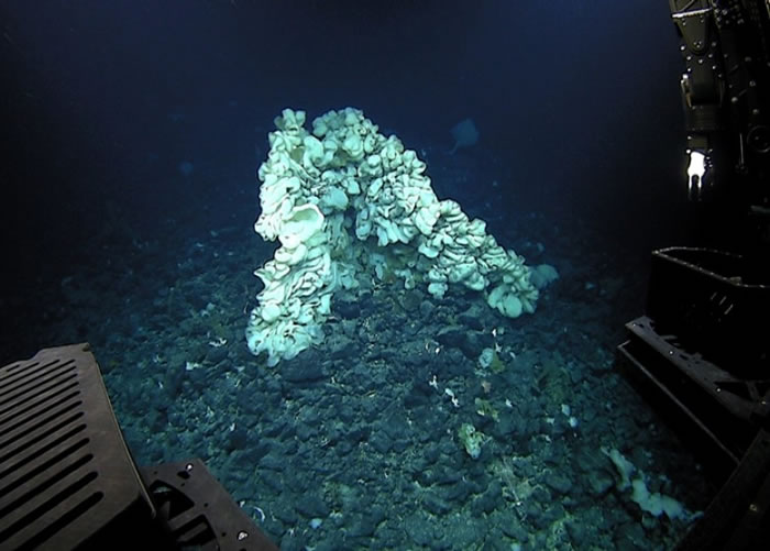 ����������2100�������ȫ������� �����ͬС�ͻ���