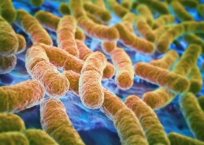 美国国内发现超级细菌病例 可抵抗所有抗生素