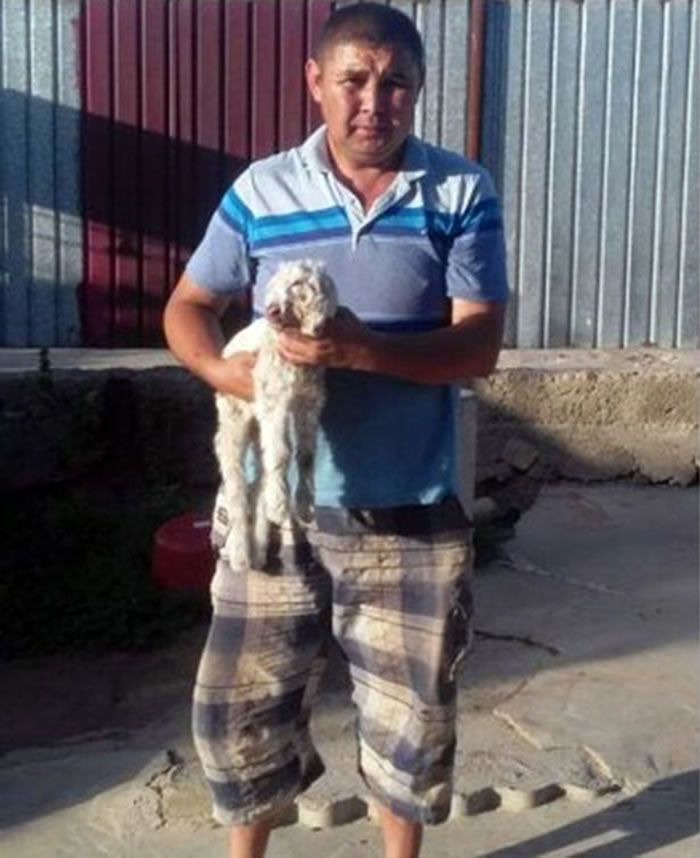 ������˹̹����˫ͷ�򣬳���û����㱻�ܾ�ĸ�����������