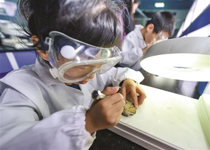 小朋友正在认真修复三叶虫化石