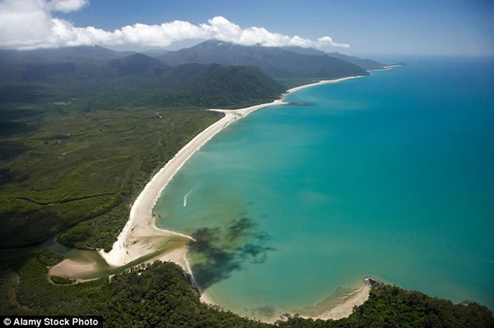 澳洲女子晚上到海滩游泳遭鳄鱼攻击,被拖入海中下落不明